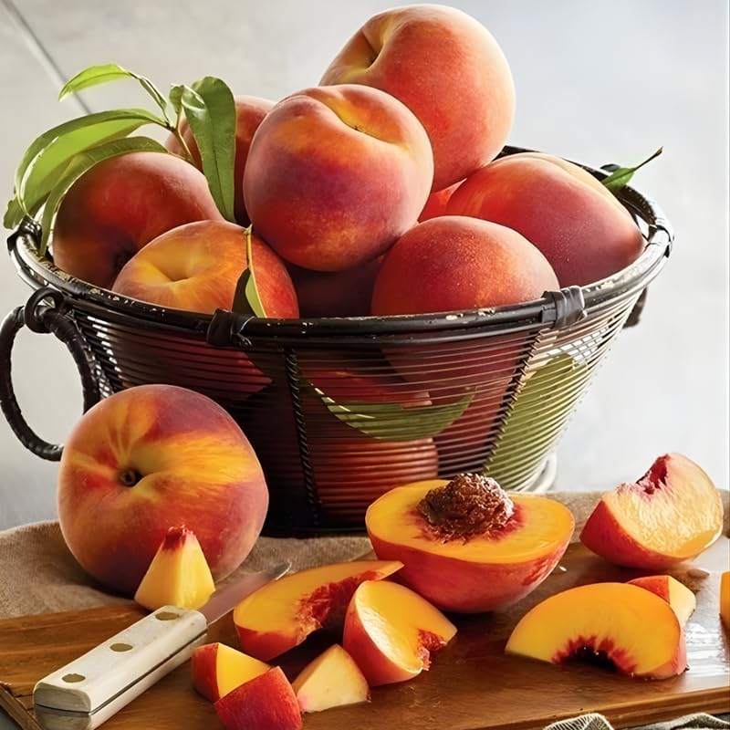 (No Ship to CA,HI,AK) Flordaking Peach Tree Live Plant, 3 Gallon Pot - 3 Ft Tall, Sweet & Juicy Peaches, Self-Pollinating Fruit Tree for Backyard Orchards & Patio Landscaping