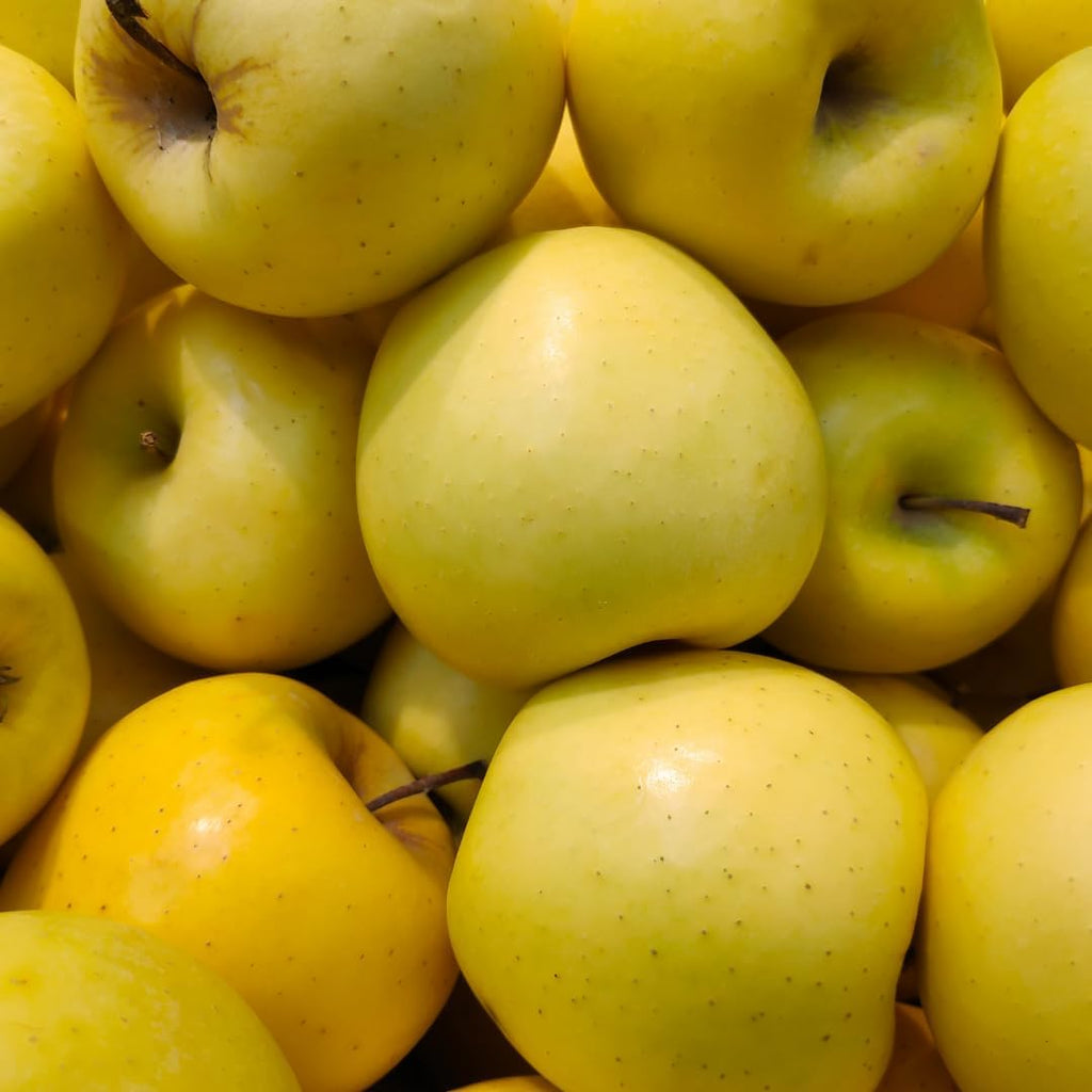 (No Ship to CA, HI, AK) Golden Delicious Apple Tree Live Plant in 3 Gallon Pot, Fast Growing Apple Trees Live Plants Ready to Fruit, Perfect for Home Backyard and Garden