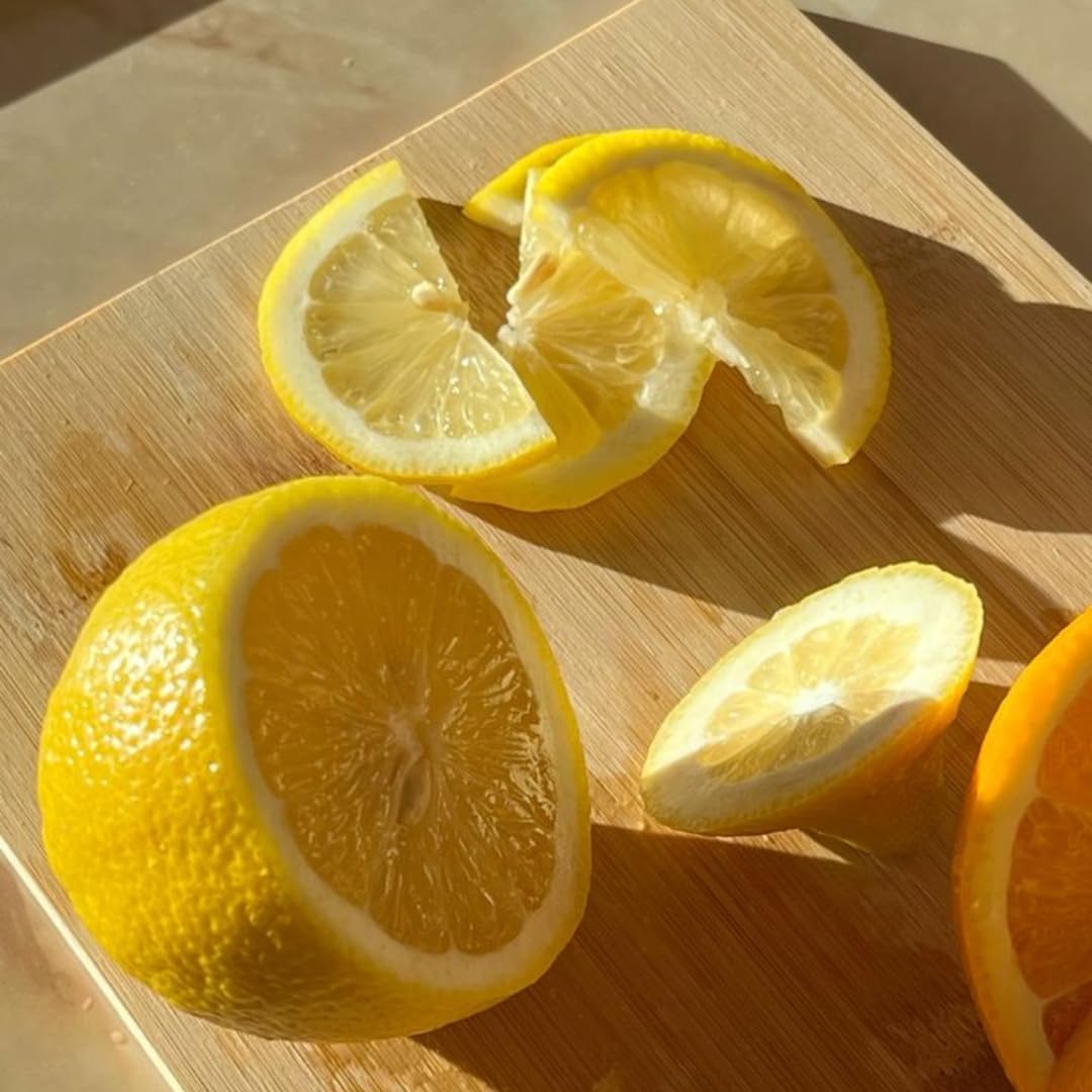 Fresh Meyer Lemon Tree Live Plant for Planting | 1–2 Ft Live Potted Citrus Plant | Edible Indoor or Outdoor Fruit Tree for Home Gardens, Patios & Containers | No Ship to CA,HI,AK