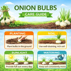 Mixed Onion Sets Red - White and Yellow, Heirloom, Non-GMO Onion Bulbs Plant, Easy to Grow, High Yield Vegetable Bulbs, Not Seeds