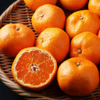 Calamondin Orange Tree | 2.5–3 Feet Tall Live Plant | Easy to Grow Indoor or Outdoor Fruit Tree for Patios, Balconies & Yards | No Ship to CA,HI,AK