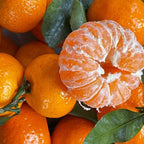 Hamlin Orange Tree for Planting | 2.5–3 Ft Live Citrus Plant | Easy-Grow Edible Fruit Tree for Home Gardens & Patios | No Ship to CA,HI,AK