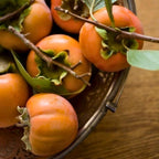 2 Persimmon Tree Live Plant in 12 – 24 Inch Tall Potted | American Persimmon Tree for Planting | Suitable for Home Garden & Backyard Growing