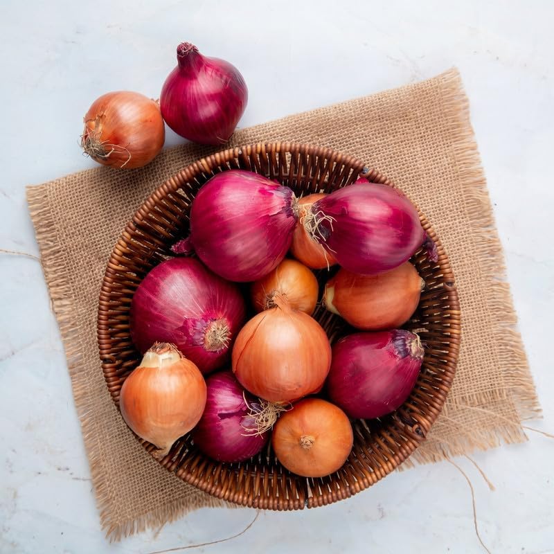 100 Color Mixed Onion Bulbs for Planting, Non-GMO, High Yield Onion Sets, Fast-Growing Vegetable Bulbs for Outdoor Gardens, Raised Beds & Containers