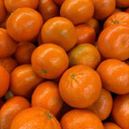 Tango Mandarin Oranges Tree Live Plant | 2.5–3 Feet Live Potted Citrus Tree | Sweet Juicy Fruit for Cooking Juicing & Home Gardening | No Ship to CA,HI,AK