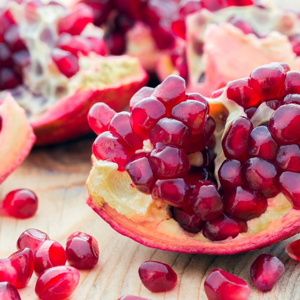 Cold Hardy Pomegranate Tree | 30-36 Inches Tall | Live Pomegranate Farfianka Plant | Easy-Care Strong Rooted Plant | Beautiful, Hardy Tree for Outdoor Growing | No Ship to CA,HI,AK