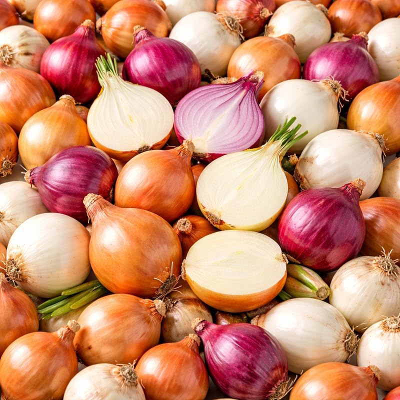 100 Color Mixed Onion Bulbs for Planting, Non-GMO, High Yield Onion Sets, Fast-Growing Vegetable Bulbs for Outdoor Gardens, Raised Beds & Containers