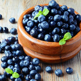 Blueberry Plants Live for Planting, Brightwell Blueberries Tree - 1 to 2 Feet Tall in 1 Gallon Pot, Fast Growing Blueberries Fruit Trees Live Plants for Patio and Garden (No Ship to CA, HI, AK)