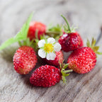 Strawberry Plant in Small Pot, 3-6" Tall Sweet Strawberry Plant Live, High Yield, Fast Growing, Ideal for Garden & Containers