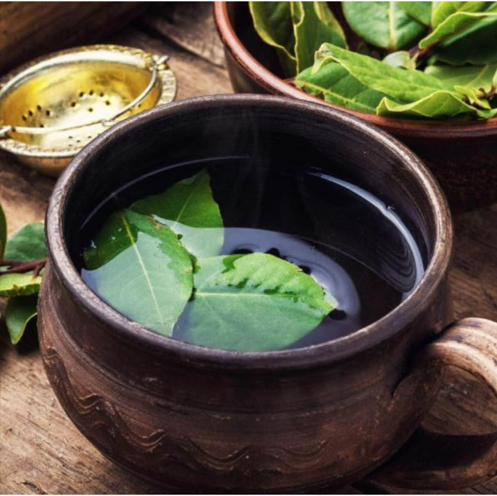 3 Live Bay Leaf Plants | 5-6 Inch Herb Plants | Laurus Nobili Live Plant | Culinary and Home Garden | Bay Laurel Tree Live Plant