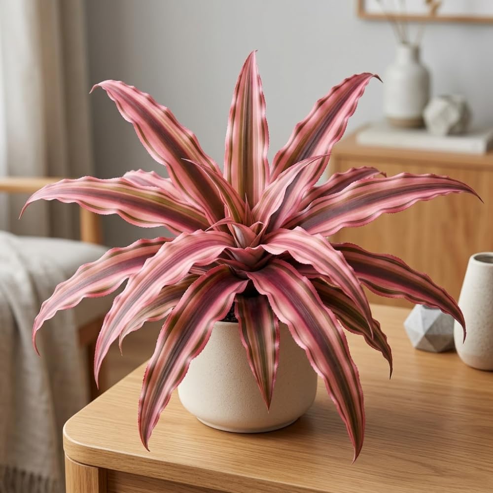 Pink Earth Star Plant, 4" Potted Cryptanthus Le Rey, High-Vigor Low Maintenance Indoor Bromeliad for Desks, Pet-Friendly Striped Pink Foliage
