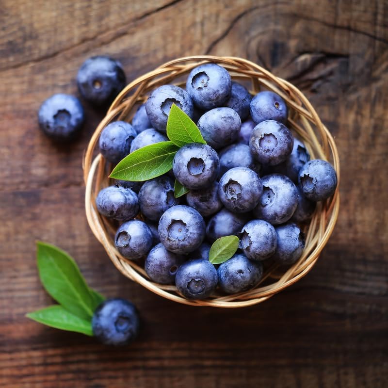 (No Ship to CA, HI, AK) Sweet Blue Berry Live for Planting - 1 to 2 Feet Live Blueberries Plants in 2 Gallon Pot, Perfect for Yard Landscape and Containers
