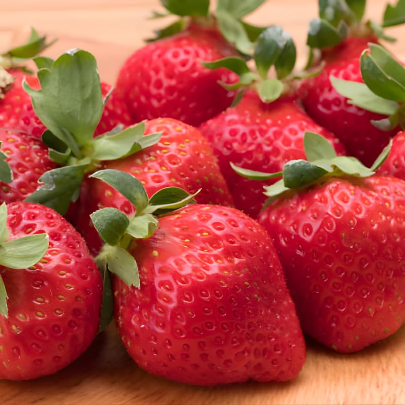 50 Allstar Strawberry Bare Root Plants, Well-Rooted Edible Fruit Starters, Junebearing Berry Shrub for Home Garden Rows and Raised Beds