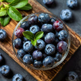 Blueberries Tree Live Plants, 1-2 Feet Tall (1 Gal Pot) - Sweet Blue Berries Live Plants for Planting Outdoor (No Ship to CA, HI, AK)