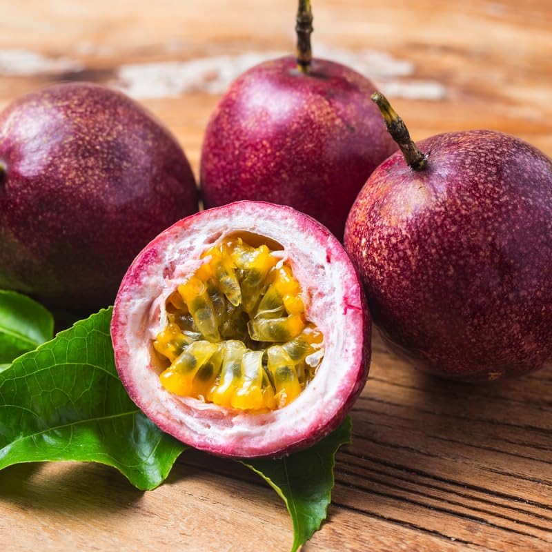 (No Ship to CA, HI, AK) Red Passionfruit Tree Live Plant, 1-2 Feet Tall in 1 Gal Pot, Fast Growing Fruit Trees Live Plants Ready to Fruit, Cold Hardy Tropical Fruit Trees