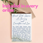 Grand Duke Jasmine Plant | Tuscany Jasmine Plant | Size 4 to 5 Inch Tall | Gift Story Card Housewarming Friendship Gifts for Women Best Friend Gift for New Home