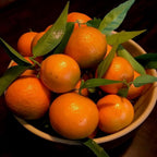 (No Ship to CA,HI,AK) Hamlin Orange Trees Live Plants| 1 Gallon Live Potted Citrus Plant | Sweet Juicy Fruit Tree for Indoor & Outdoor Spaces