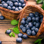 (No Ship to CA, HI, AK) Austin Blueberry Plants Live for Planting - 1 to 2 Feet Tall in 1 Gallon Pot, Fast Growing Blueberries Fruit Trees Live Plants for Patio and Garden