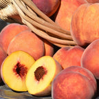 (No Ship to CA,HI,AK) Flordaking Peach Tree Live Plant in 3 Gallon Pot, High Yield, Fast Growing, Sweet Juicy Peach Fruit Tree for Garden, Patio & Outdoor Planting