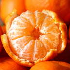 (No Ship to CA,HI,AK) Hamlin Orange Trees Live Plants| 1 Gallon Live Potted Citrus Plant | Sweet Juicy Fruit Tree for Indoor & Outdoor Spaces