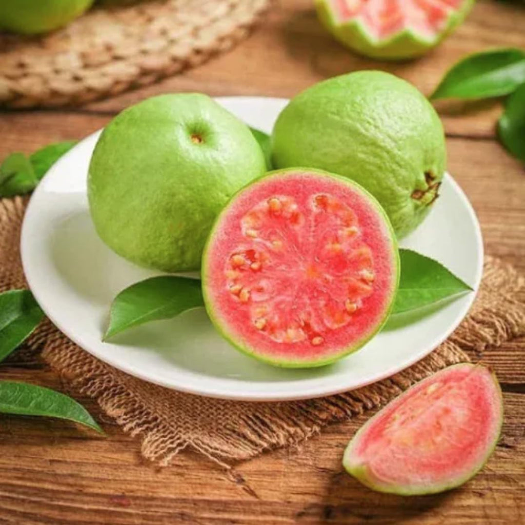 2 Count Pink Guava Tree Live Plant | Tropical Fruit Tree | Home Garden | 4-6 Inch Young Guava Plants | Easy to Grow & Fruiting