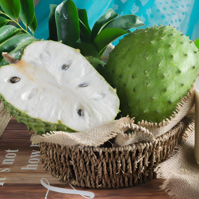 No Ship to CA, HI, AK, Soursop Tree Live Plant, Well-Rooted 24-30" Potted Annona Muricata, Tropical Evergreen Fruit Tree for Home Orchards