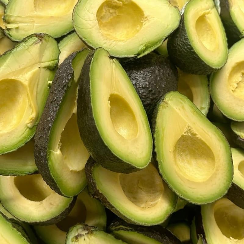 Large HASS Avocado Trees Live Plants | 2.5–3 Ft Tall Potted Plant | Hardy Fruit-Bearing Tree for Indoor and Outdoor Growing | No Ship to CA,HI,AK