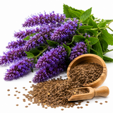 500 Anise Hyssop Seeds, Non GMO, Heirlooms, Long Lasting Seasonal Blooms, Decorative Flower Seeds for Patio Pots, Borders & Garden Spaces