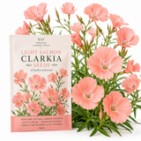 150 Pcs Salmon Clarkia Seeds, Vigorous, Cool-Weather Plants, Grow Robust Ruffled Blooms for Outdoor Landscapes