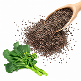 Chinese Broccoli Seeds, Kailaan Gai Lan, 200 Pcs, Non GMO, Heirloom, Fast Growing Asian Vegetable Seeds for Home Garden