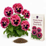 25 Frizzle Sizzle Pansy Seeds, Viola x wittrockiana, Non GMO, Easy to Grow, High-Yielding Fringed Blooms for Gorgeous Patio Pots and Window Boxes