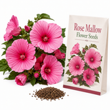 50 Rose Mallow Flower Seeds, Non-GMO Lavatera trimestris Seeds, Aka Tree Mallow, Vibrant Multi-Color Pink White Annual for Backyard Borders
