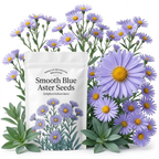 1000 Pcs Blue Aster Seeds, High Germination Fall Blooming for Planting, Low Maintenance Striking Blue Flowers for Sunlit Gardens