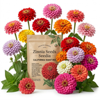 100 Zinnia Seeds, Heirloom California Giant Mix for Planting, Robust Low Maintenance Tall Flowers for Sunlit Yard Borders