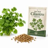 450 Slow Bolt Cilantro Seeds, Non-GMO Coriandrum sativum Seeds, High-Yielding, Heat Tolerant Edible Herb Seeds for Indoor, Outdoor Garden