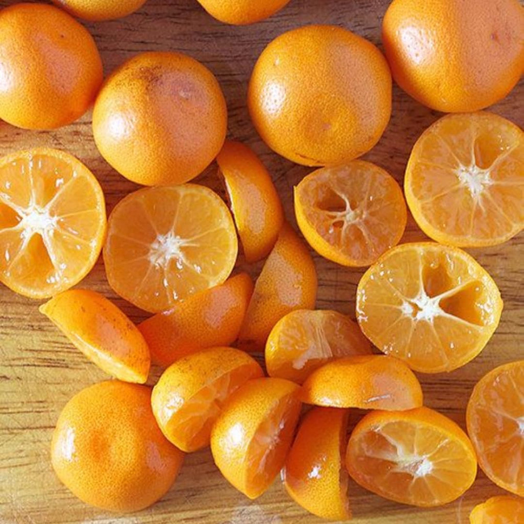 (No Ship to CA,HI,AK) Kishu Mandarin Oranges Tree Live Plant | 1 Gallon Live Potted Citrus Tree | Sweet Juicy Fruit for Cooking Juicing & Home Gardening