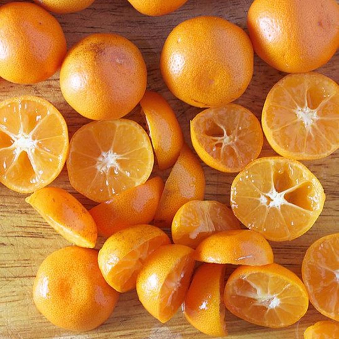(No Ship to CA,HI,AK) Kishu Mandarin Oranges Tree Live Plant | 1 Gallon Live Potted Citrus Tree | Sweet Juicy Fruit for Cooking Juicing & Home Gardening