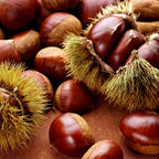 Chestnut Tree, 6-10" Nut Tree, Vigorous Deciduous Shade Tree for Backyard Gardens & Orchard Planting, Sweet Edible Harvests & Fast Growth