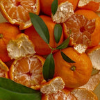 Hamlin Orange Tree for Planting | 2.5–3 Ft Live Citrus Plant | Easy-Grow Edible Fruit Tree for Home Gardens & Patios | No Ship to CA,HI,AK