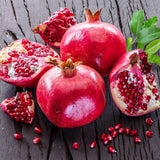 Pomegranate Plant Live | 24 Inch Tall Tree | Farfianka Pomegranate Fruit Plant | Sweet, Juicy Red Pomegranates | Hardy, Fast-Growing Ornamental Fruit Tree for Gardens (No Ship to CA,HI,AK)
