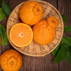 Blood Oranges Fresh | Orange Trees Live Plants | 2.5–3 Feet Live Potted Citrus Plant | Sweet Juicy Fruit Tree for Indoor & Outdoor Spaces | No Ship to CA,HI,AK