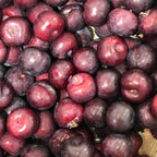(No Ship to CA, HI, AK) Methley Plum Trees Plant, 3 Feet Tall, Japanese Plum Trees Live Plants Ready to Fruit for Outdoor Garden and Yard