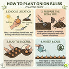 Mixed Onion Sets Red - White and Yellow, Heirloom, Non-GMO Onion Bulbs Plant, Easy to Grow, High Yield Vegetable Bulbs, Not Seeds