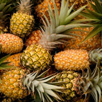 Pineapple Live Plant, 6 Inch Pot, Sturdy Low Maintenance Edible Bromeliad for Home Gardens, Grow Sweet Exotic Fruits & Striking Spiky Foliage