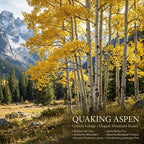 Quaking Aspen Tree, 4-6"" Tall Potted Tree Starter, Sturdy Cold-Hardy Plant with Golden Autumn Foliage & Trembling Leaves for Home Landscapes