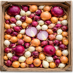Mixed Onion Sets Red - White and Yellow, Heirloom, Non-GMO Onion Bulbs Plant, Easy to Grow, High Yield Vegetable Bulbs, Not Seeds
