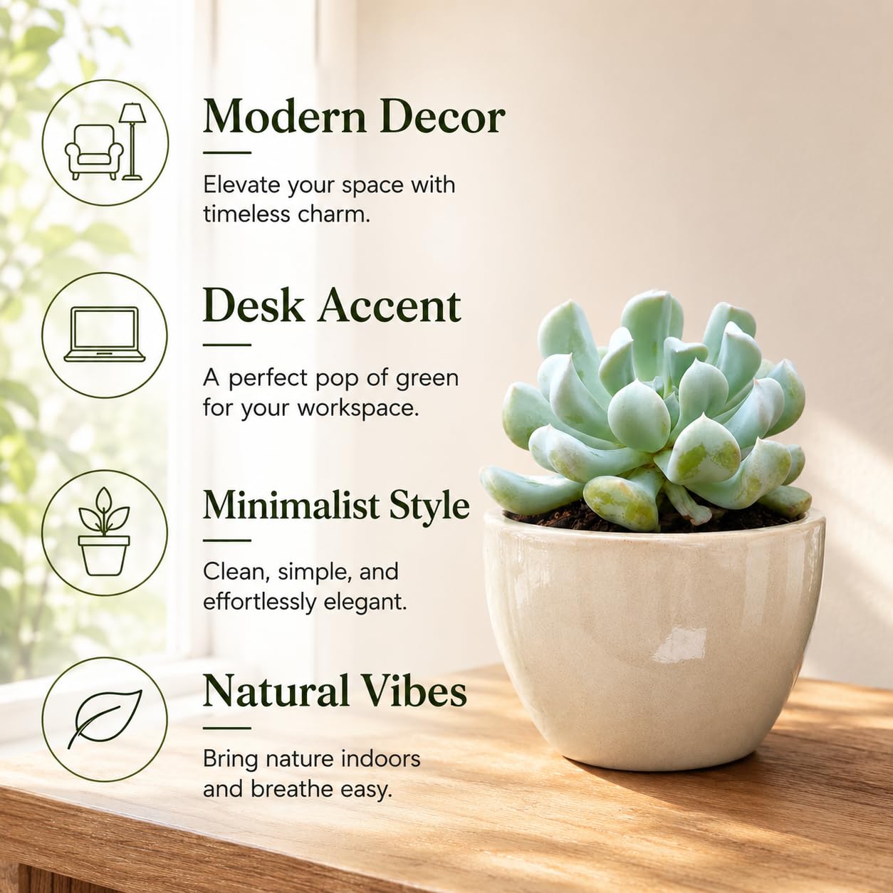Echeveria Chroma Succulent Plant Live, 2 Inch Pot, Unique Live Succulent, Low Maintenance, Easy Care, Beautiful Indoor Houseplant, Ideal for Home Décor & Gifts
