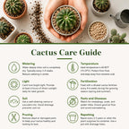 Live Cactus Plant Gymnocalycium Horstii Green Tomato, 4" Pot, Low Maintenance Rare Cactus, Drought Tolerant Houseplant for Indoor Décor, Windowsills & Succulent Collections