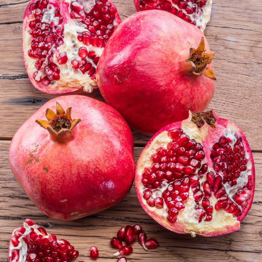 Cold Hardy Pomegranate Tree | 30-36 Inches Tall | Live Pomegranate Farfianka Plant | Easy-Care Strong Rooted Plant | Beautiful, Hardy Tree for Outdoor Growing | No Ship to CA,HI,AK