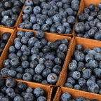 (No Ship to CA, HI, AK) Blueberry Plants Live for Planting, Brightwell Blueberries Tree - 1 to 2 Feet Tall in 2 Gallon Pot, Fast Growing Blueberries Fruit Trees Live Plants for Patio and Garden